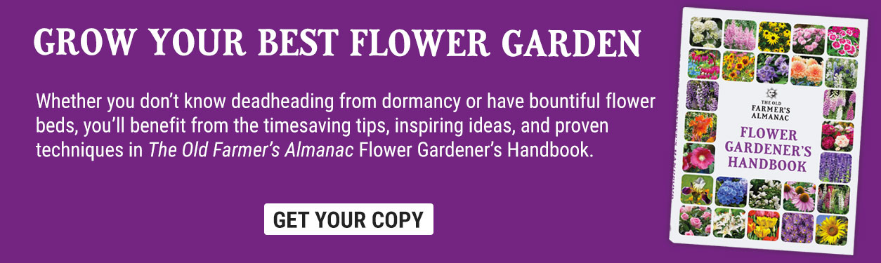 Flower Gardener's Handbook