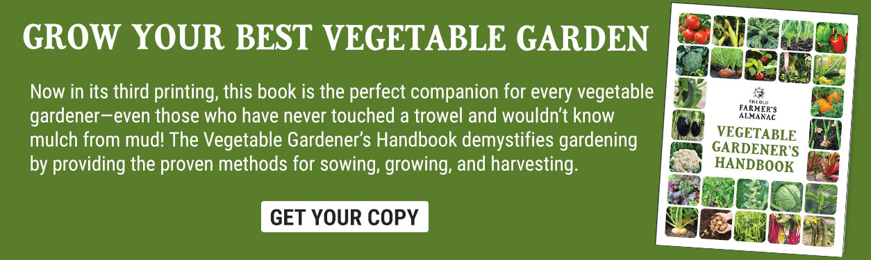 Vegetable Gardener's Handbook