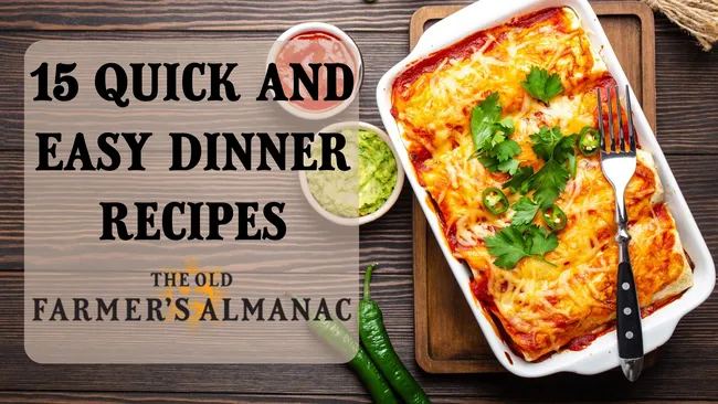 15 quick and easy dinner recipes, OFA Chicken enchiladas on a table