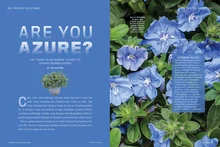 2025 Garden Guide Spread 2