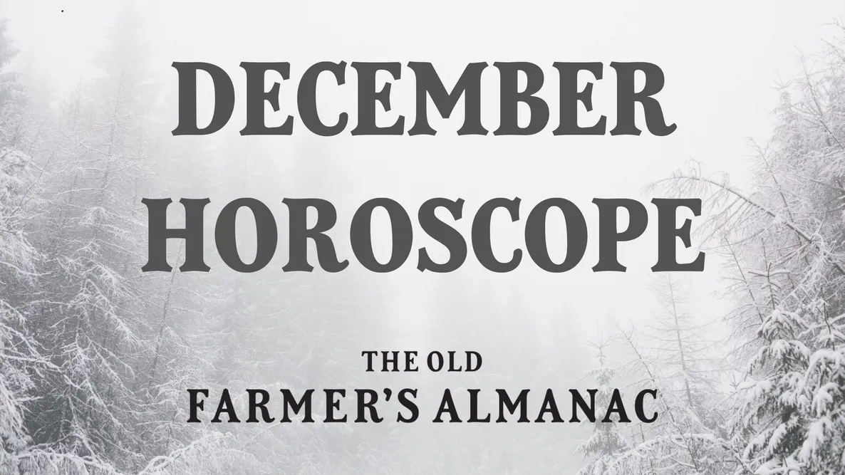 trees and snow, december horoscope