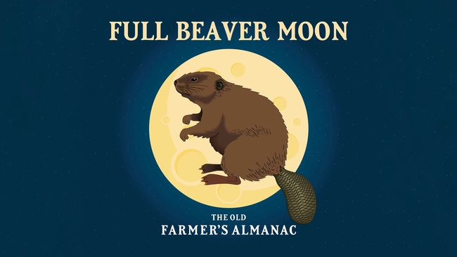 full beaver moon, november full moon, old farmer's almanac