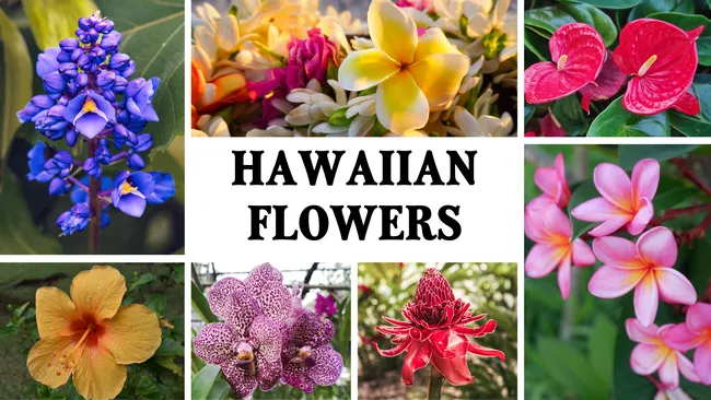 Hawaiian Flower Bouquet