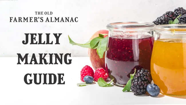 jelly making guide, fruit jelly, how to make jelly from the old farmers almanac