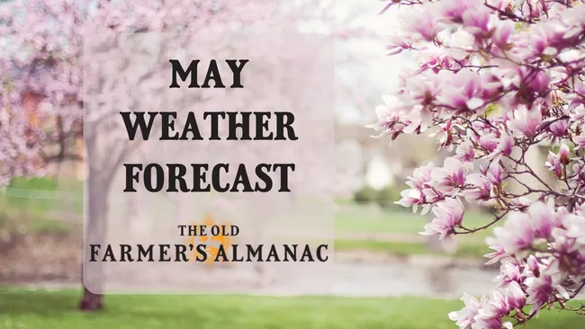 May weather forecast, cherry blossoms, weather predications