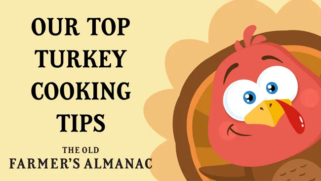 Our Top Turkey Cooking Tips, turkey face in the corner