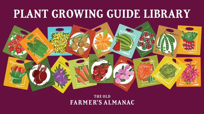 Plant Growing Guide Library