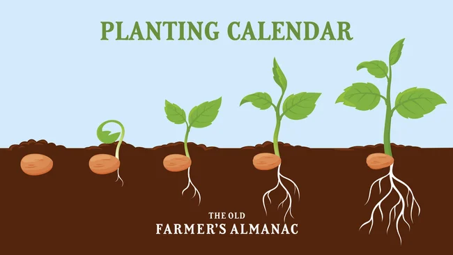 Planting Calendar