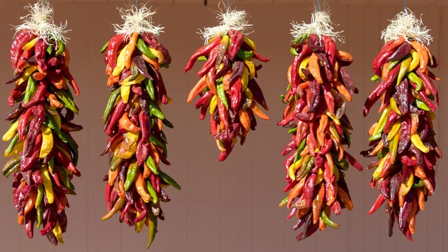 Chile harvest in Hatch, New Mexico - ristras of drying chiles.