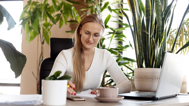 Office Plants