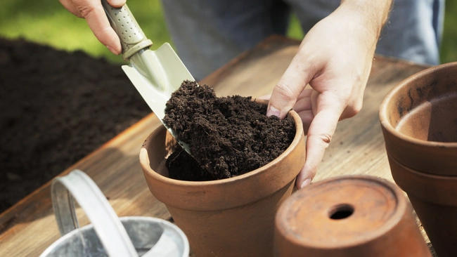 A person scoops fertilizer into a clay pot 