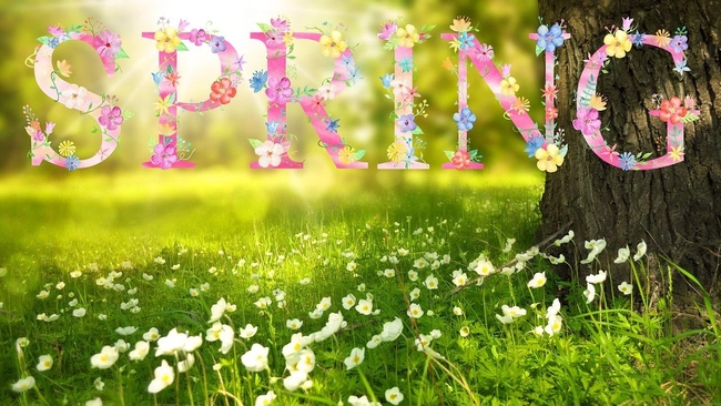 "SPRING" in a colorful flower decor font, above a field