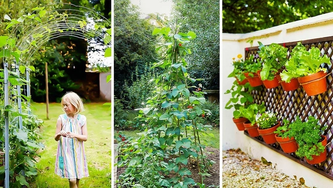 vertical gardening ideas