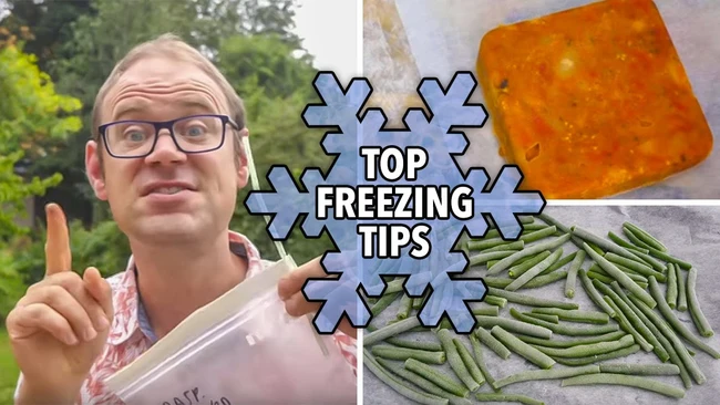 Embedded thumbnail for How to Freeze Fresh Fruit and Vegetables